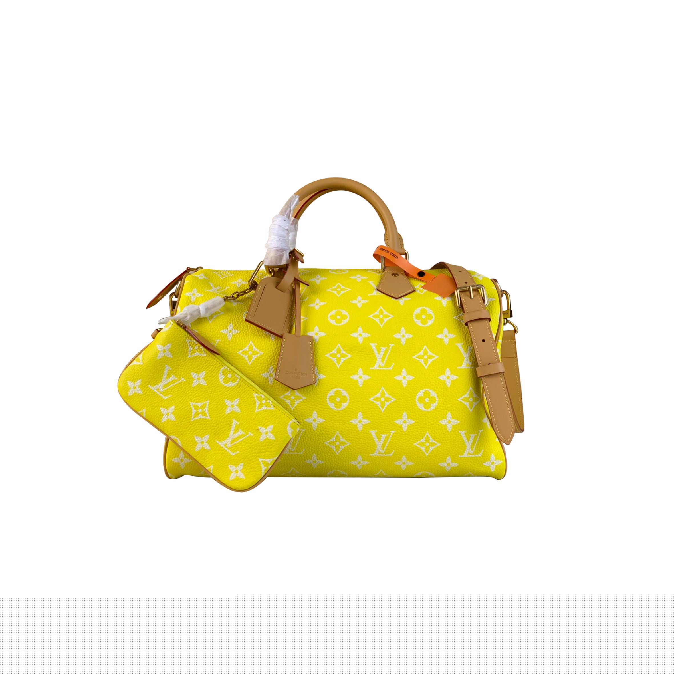 l**is V*t*n speedy p9 bandouliÈre 40 m24419 (40*26*23cm)